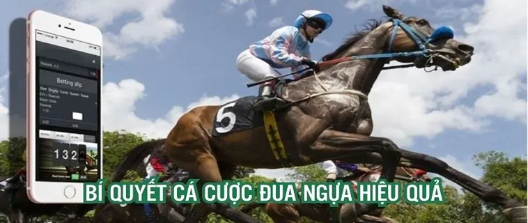 Chinh Phục Trường Đua Với Cá Cược Đua Ngựa QH88 Cực Hấp Dẫn